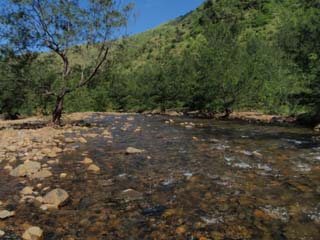 A stream along the trail